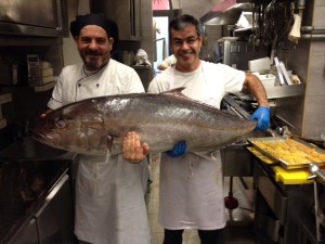 pesce di ogni dimensione 