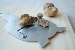 sua Maestà il tartufo bianco