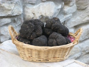 Fiera nazionale del tartufo nero di Fragno